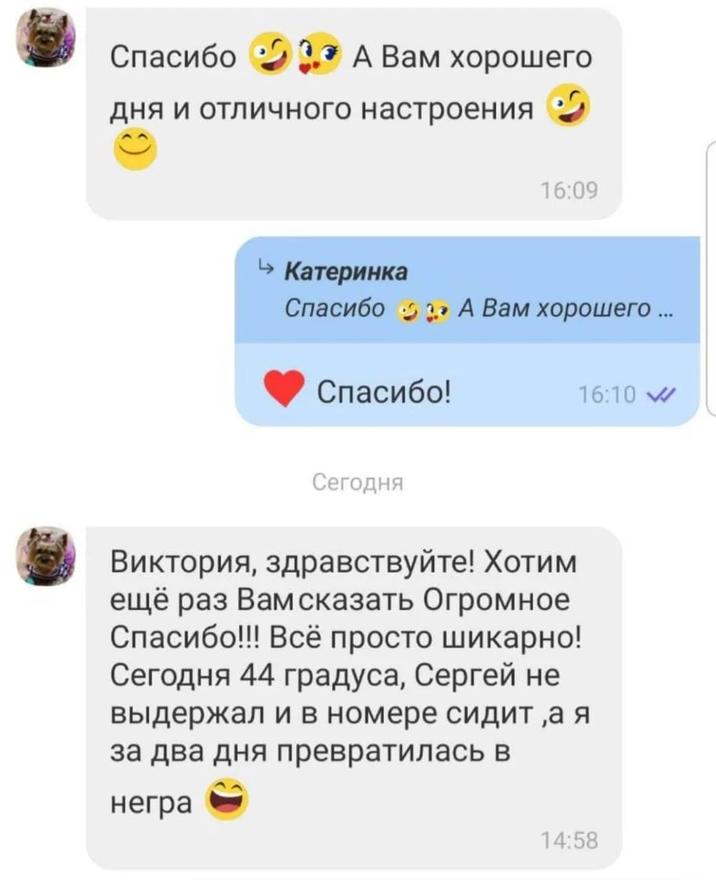 отзыв о туре в ОАЭ